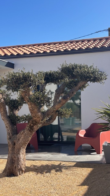 Terrasse privative chambre l'Olivier Espaces extérieurs privatifs