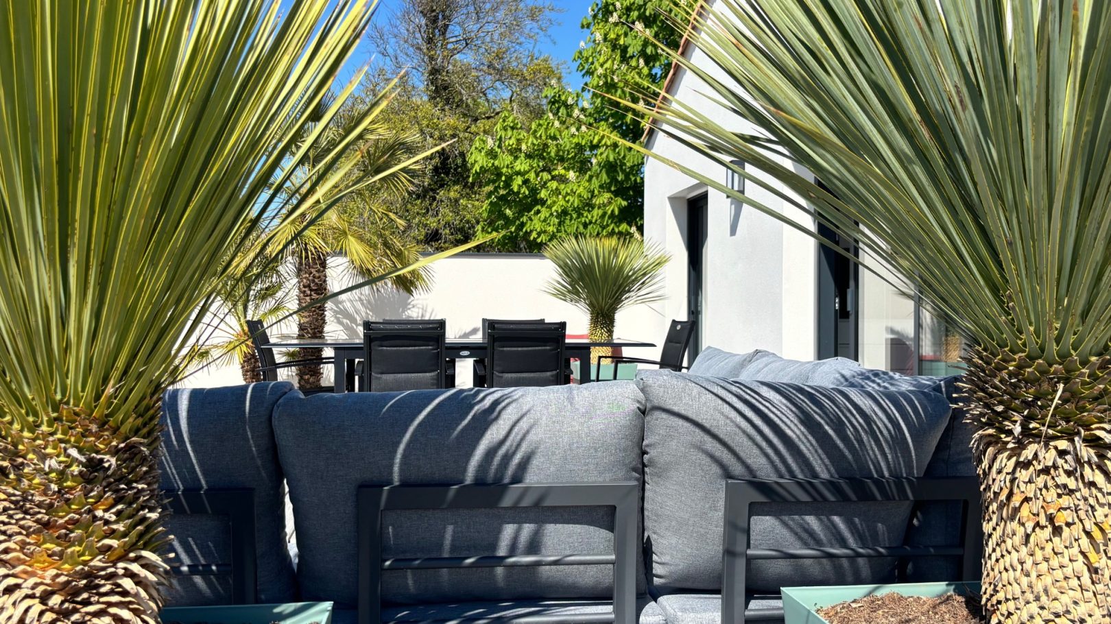 Espace extérieur avec des fauteuils, des palmiers et une table à manger au fond.